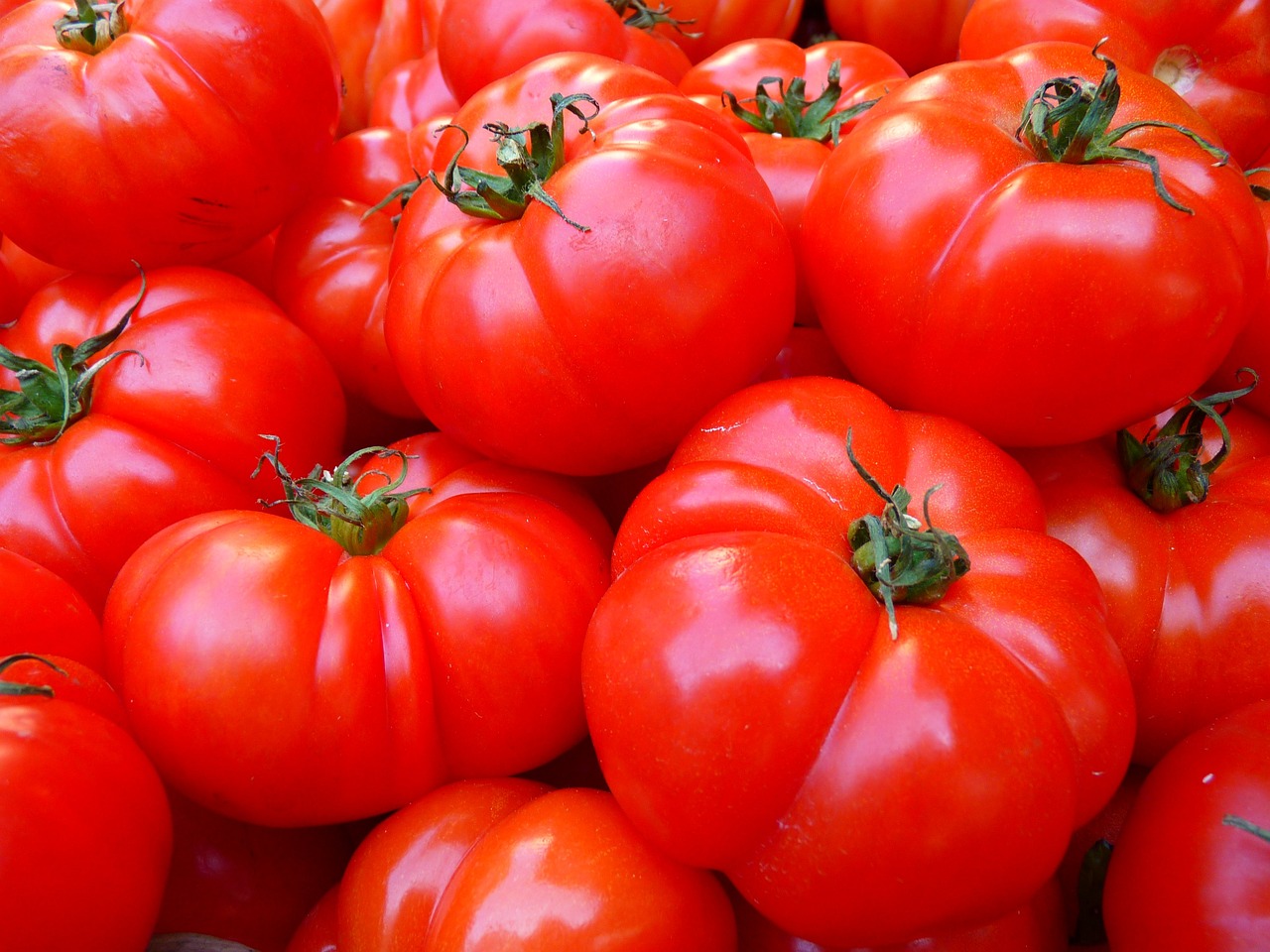 Quelles sont les spécificités de la tomate noire de Crimée ?